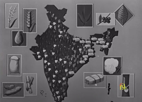 This Our India Thumbnail