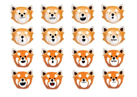 04 Pokchi-expression-sheet