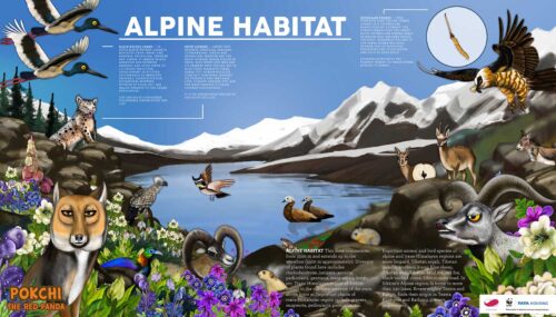 Habitats-Carousel-01