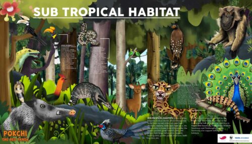 Habitats-Carousel-01a