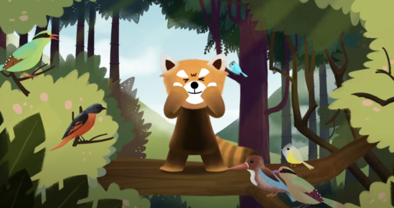 Pokchi Thumbnail (for video)